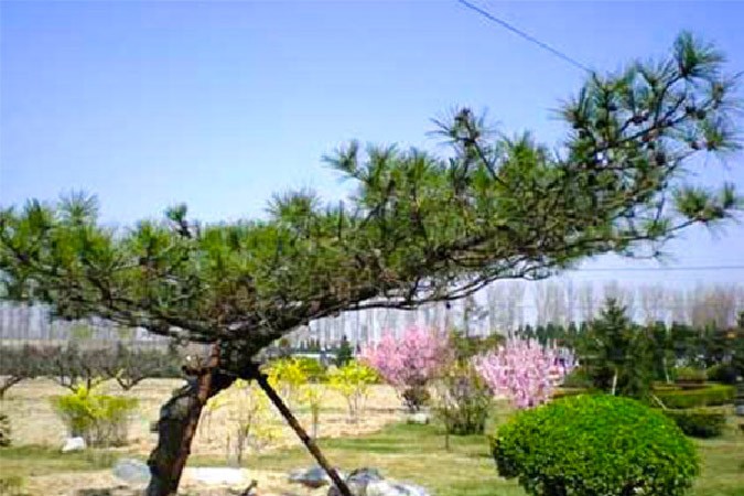 园区环境